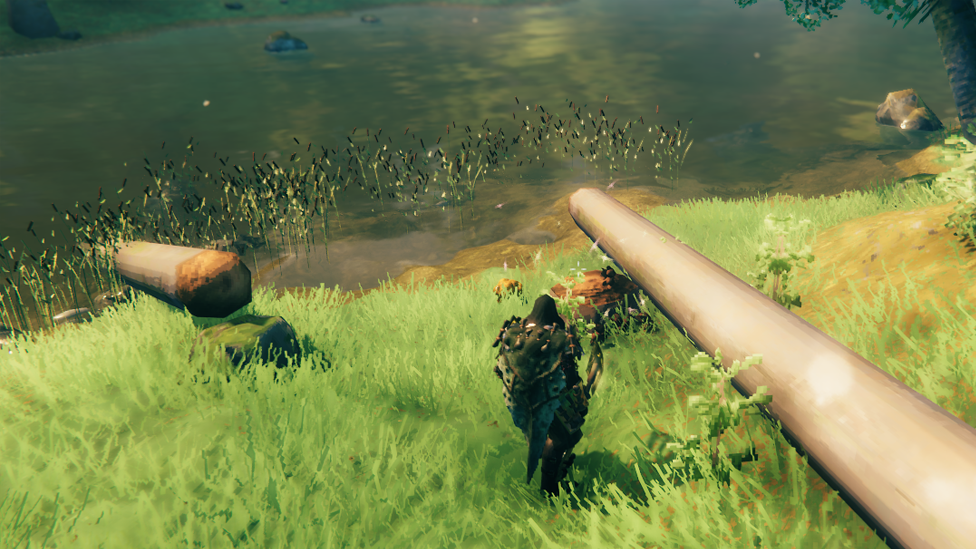 Watch Out For Falling Trees When Cutting Them Down