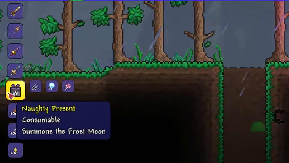Naughty Present in Terraria