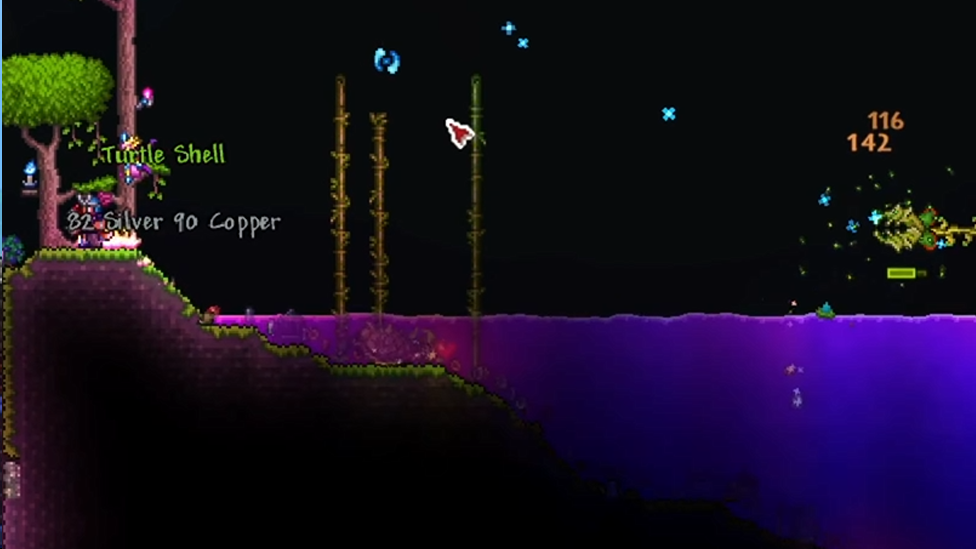 Farming Turtle Shells in Terraria