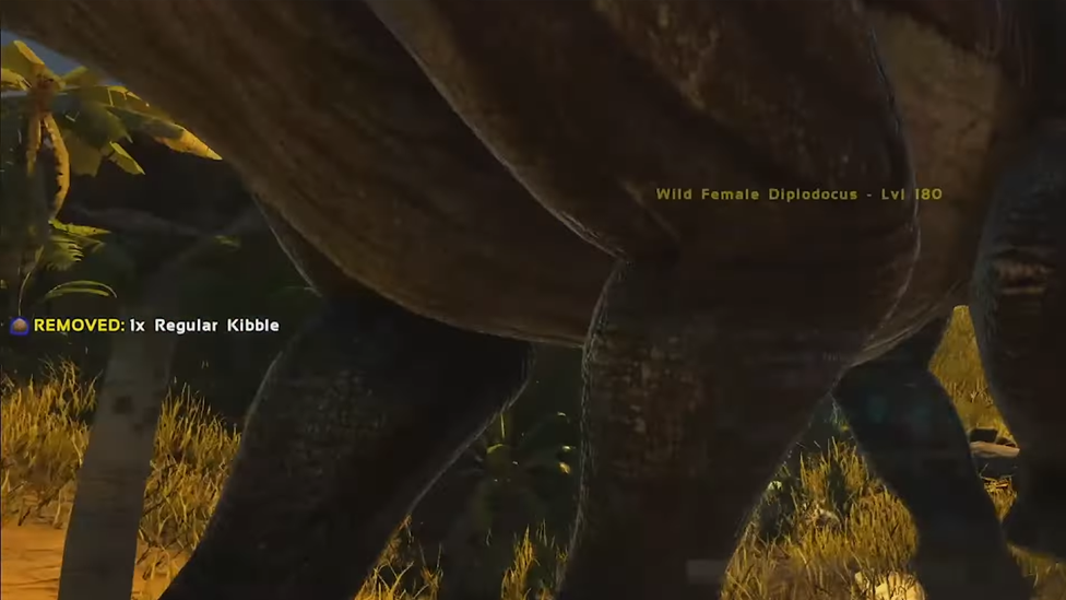 Stay Behind Them and Feed them With the Regular Kibble All the Time