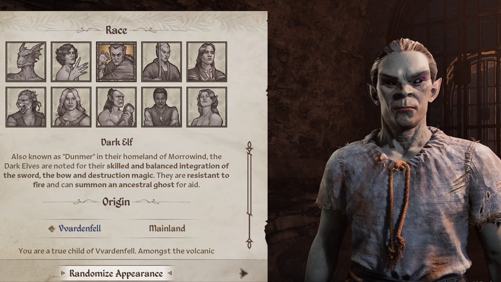 Dark Elf in Oblivion Remastered