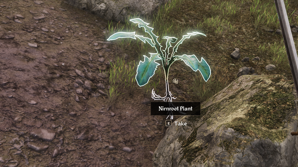 Finding Nirnroot Near the Lake Rumare