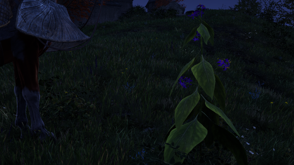 Rotate Between the Nightshade Spawn Places for Successful Farming
