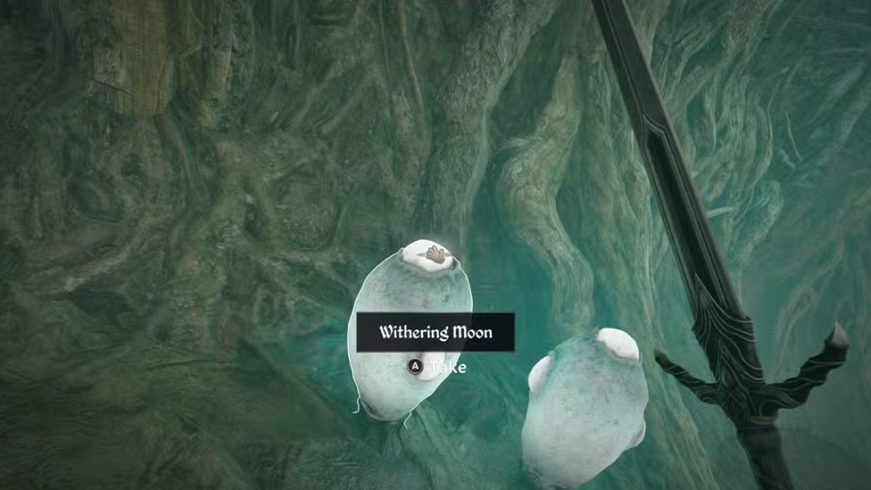 Withering Moon Found in a Cave