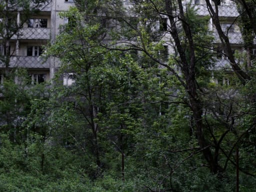 Still from Phantasiesätze