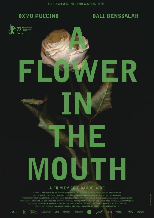 Poster from A Flower in the Mouth