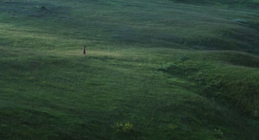 Still from Desire Lines