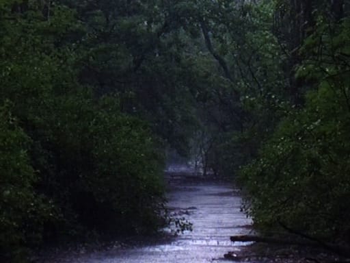 Still from “Phantasiesätze”
