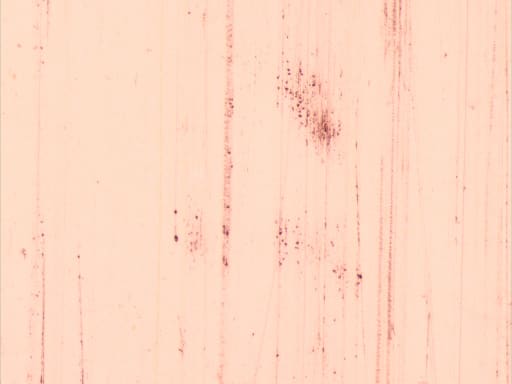 Still from “Phantasiesätze”