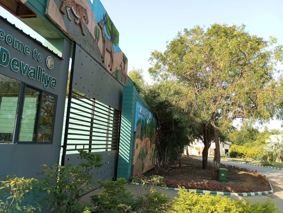 Learning Finance Through the Metaverse: Virtual Classrooms for Money Skills