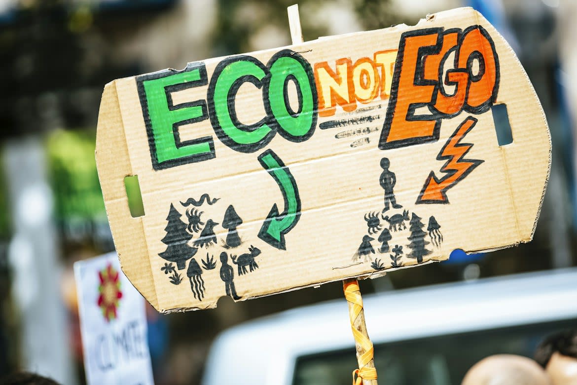 Sustainable Ecommerce: Leveraging IT Solutions to Build Eco Friendly Online Businesses