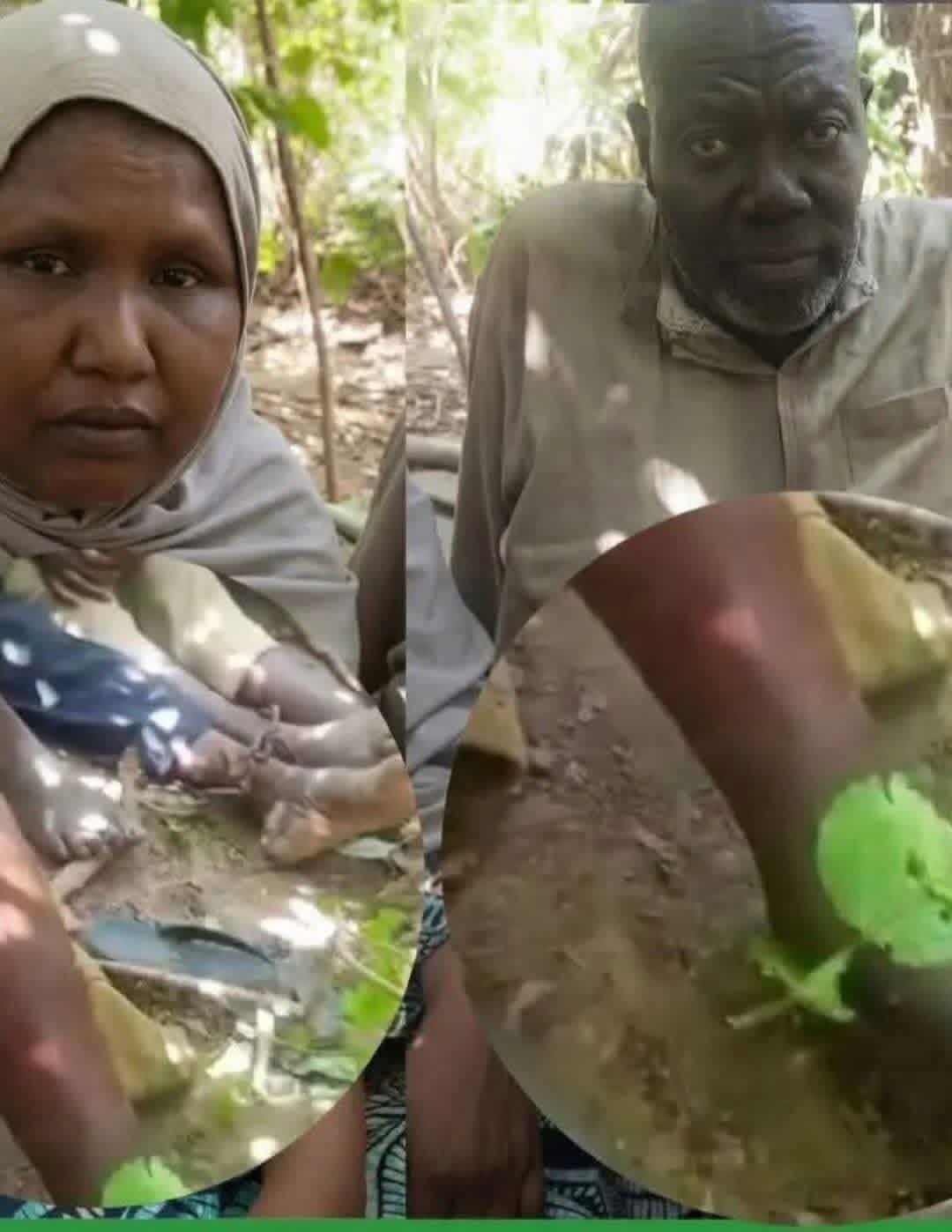 Abducted Retired General Was Killed by Snakebite, Not Illness — Family