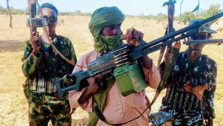 Death Toll Rises to Nine After Fresh Attack in Southern Kaduna