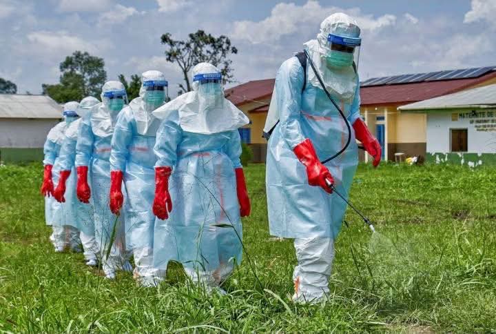UNDP Raises Alarm Over Economic Impact of Ebola Outbreak