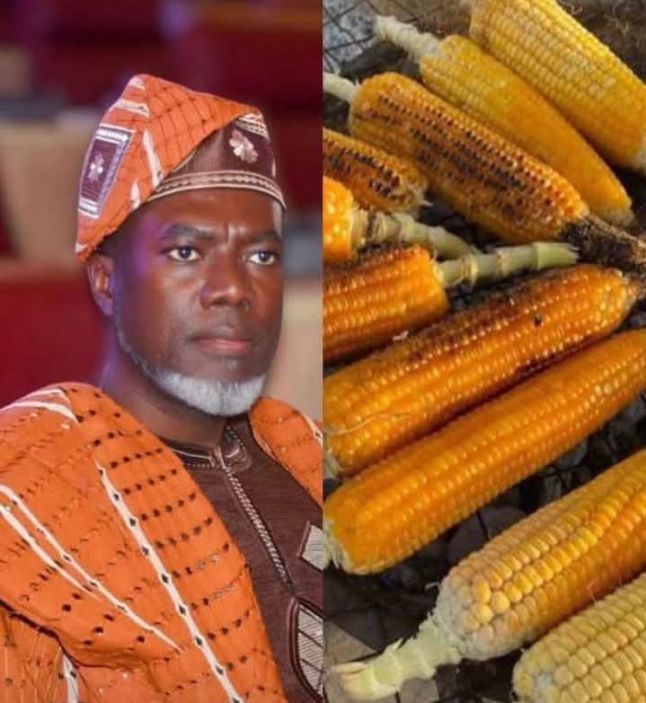 Fact Check: Reno Omokri's Claim on Turkey's Street Food Industry Examined