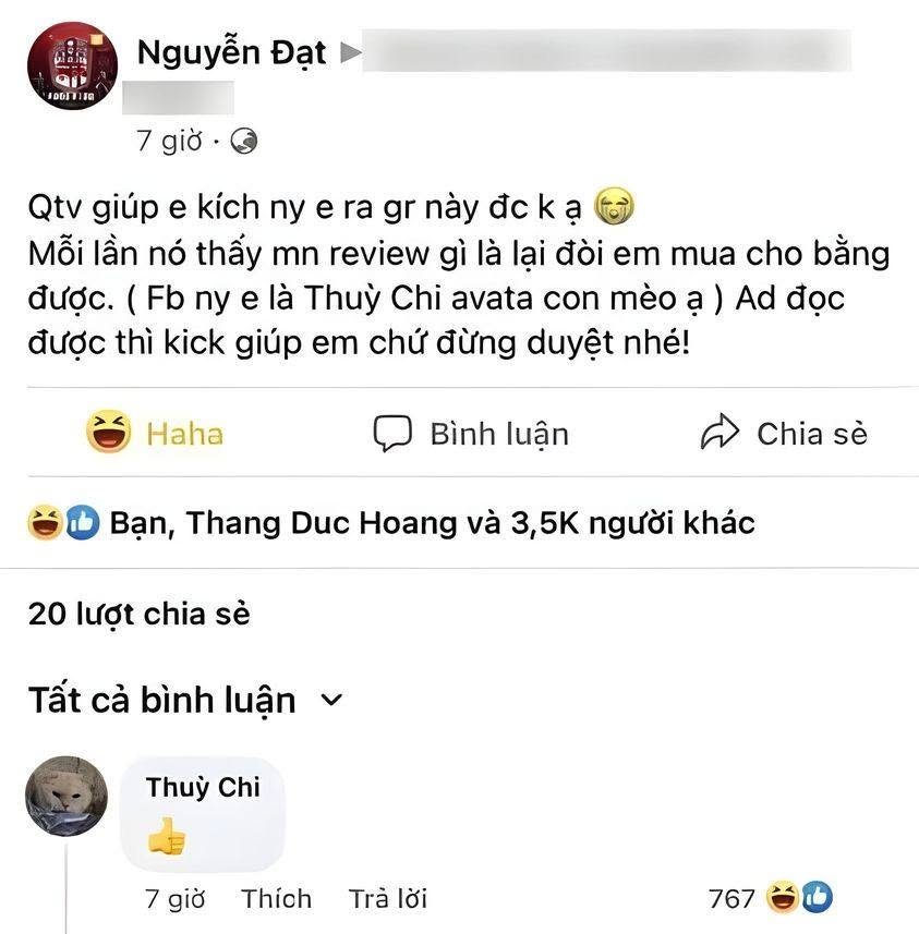 Drama: Nguyễn Lê Hữu Phúc — ảnh 1