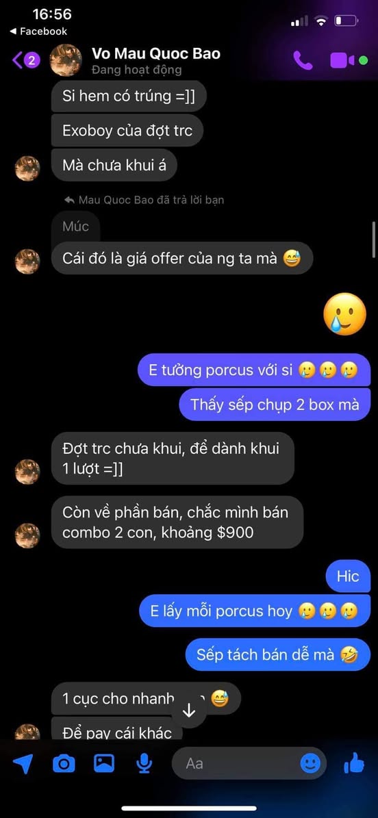 Drama: Nguyễn Lê Hữu Phúc — ảnh 4