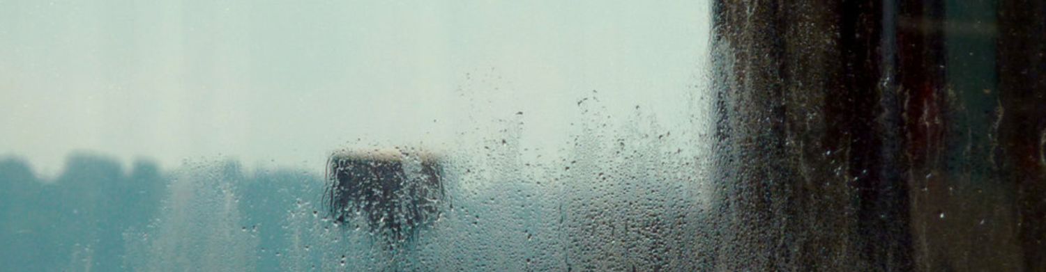 ECM RECORDS NAUJIENOS | 2025.09