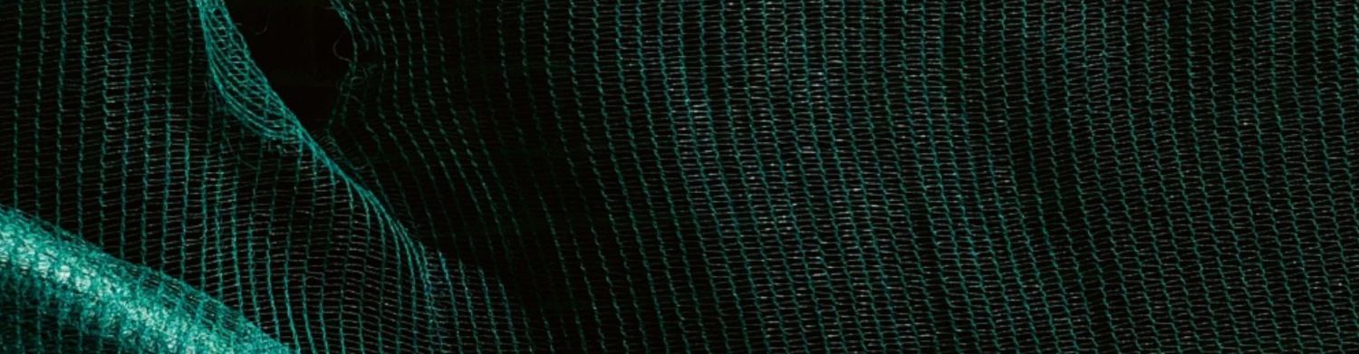 ECM RECORDS NAUJIENOS | 2025.12