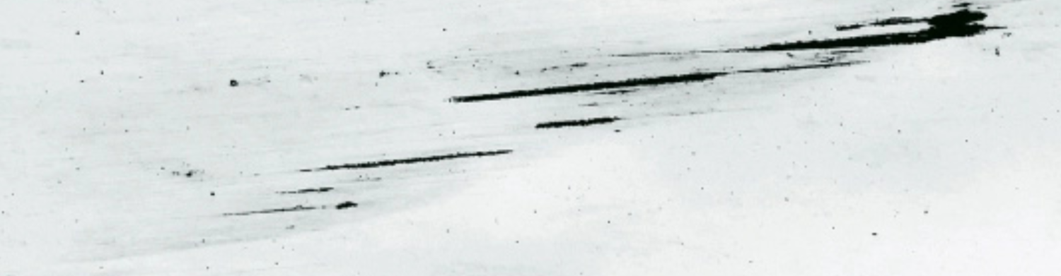 ECM RECORDS NAUJIENOS | 2026.03