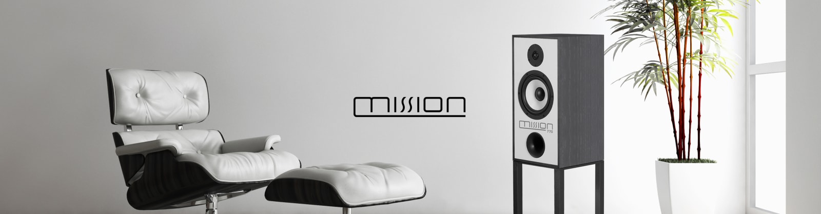 Mission