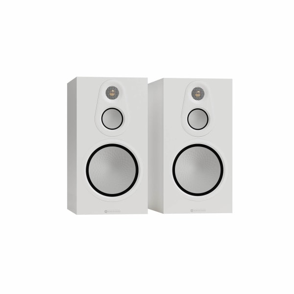 Silver 100 8G