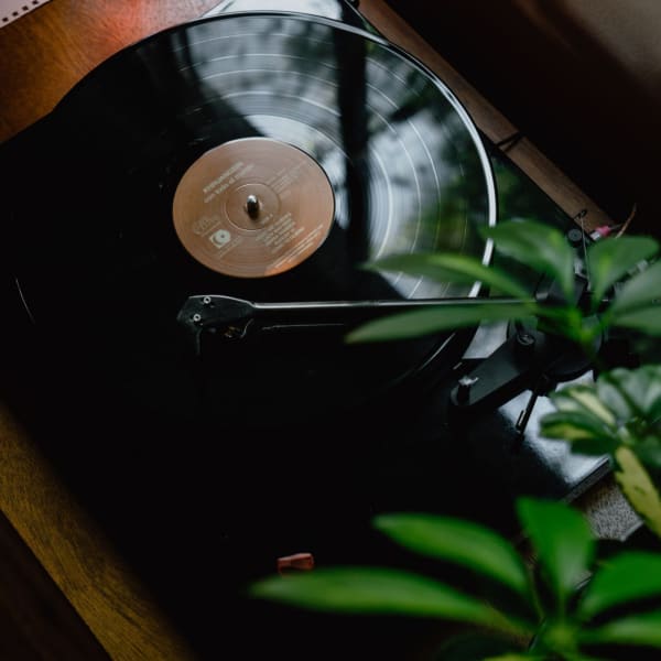Analogue Productions