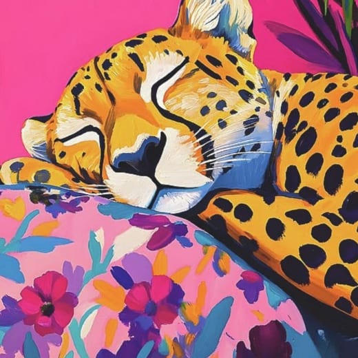 Spící leopard