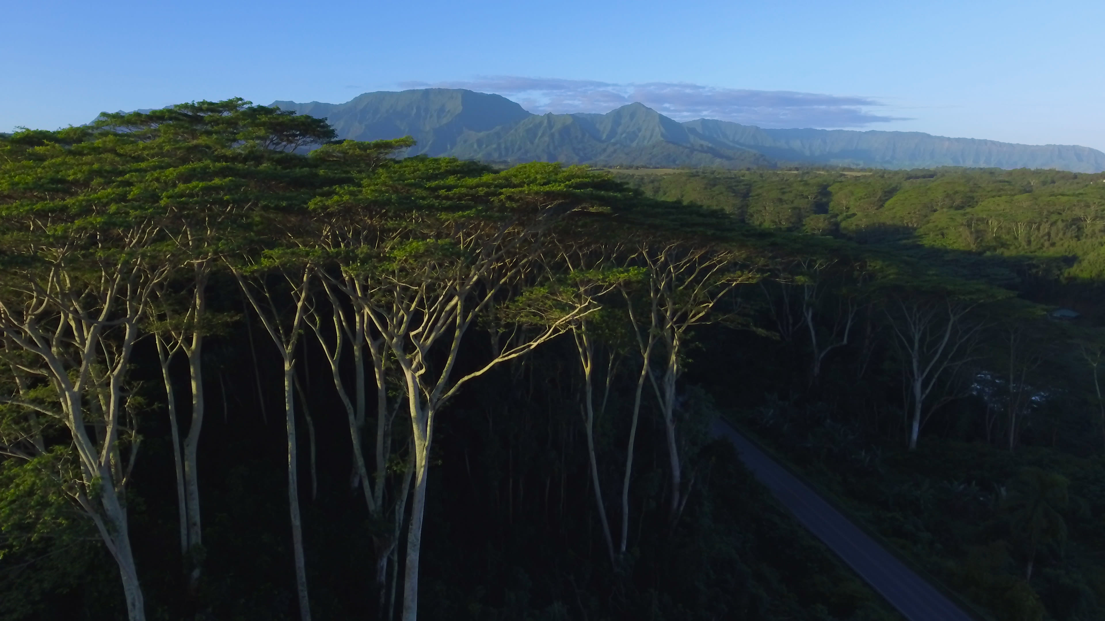 Kalihiwai River Valley photo 2