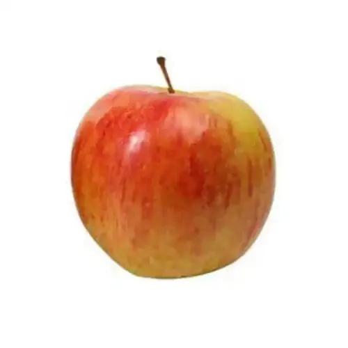 1 Kg