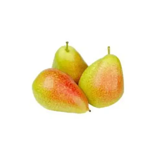 1 Kg