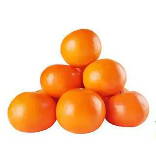 1 Kg