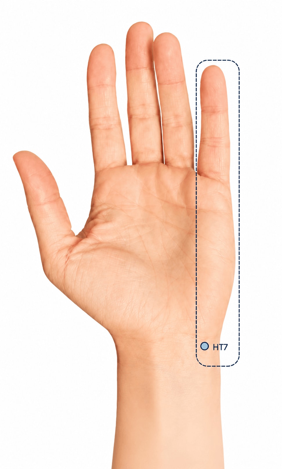 Heart 7 acupressure point on wrist