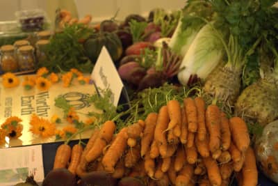 Good Food Oxfordshire Blog - From Field to Future: OxFarmToFork’s Incredible Impact in 2025
