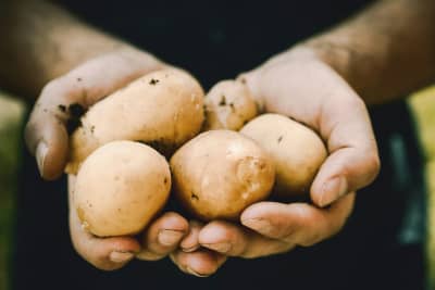 Good Food Oxfordshire Blog - How Oxfordshire's Food Strategy Can Help Inform the New Good Food Cycle