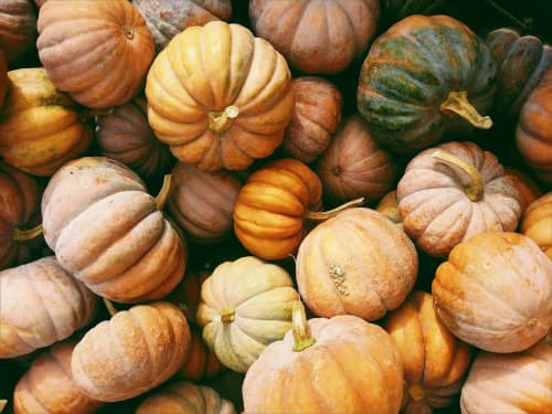 Good Food Oxfordshire - Resource Image