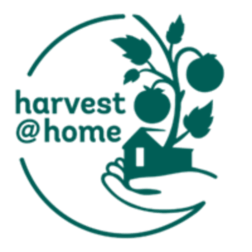 Good Food Oxford Image - Harvest @ Home (Harvest at Home), part of Cherwell Collective