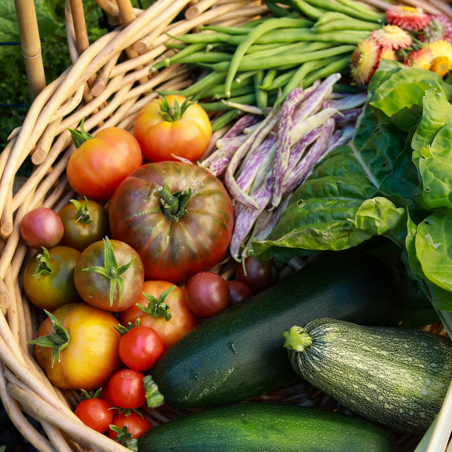 Good Food Oxfordshire - About Us Image