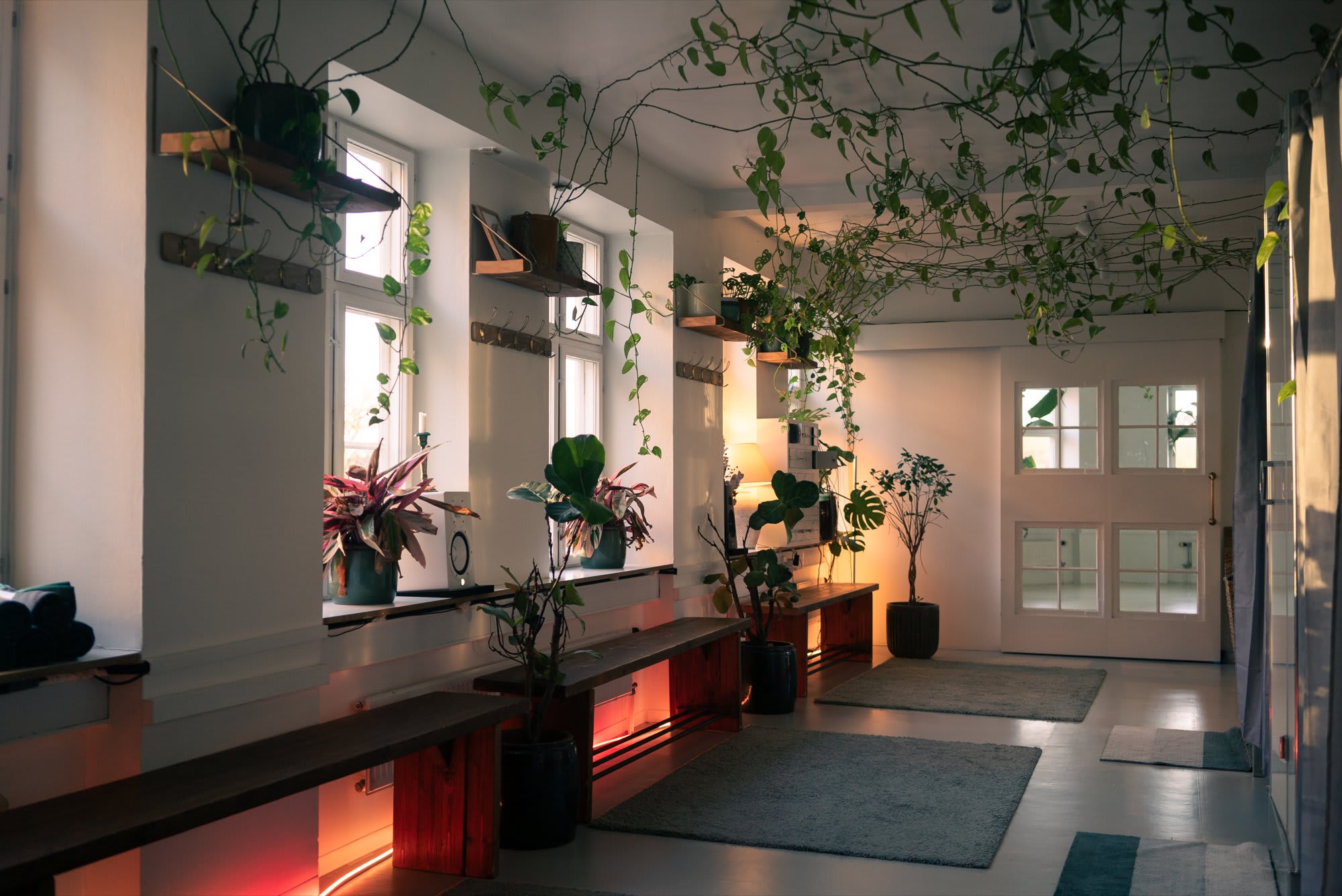 Hot Yoga studio i København