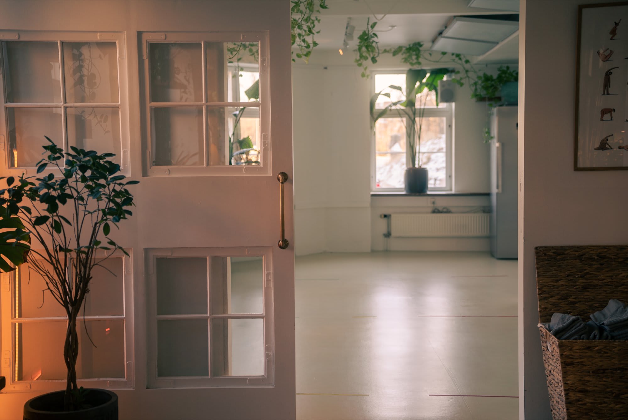 Træningsrum med dagslys og planter