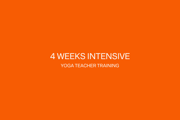 4-week intensive yoga teacher training Copenhagen