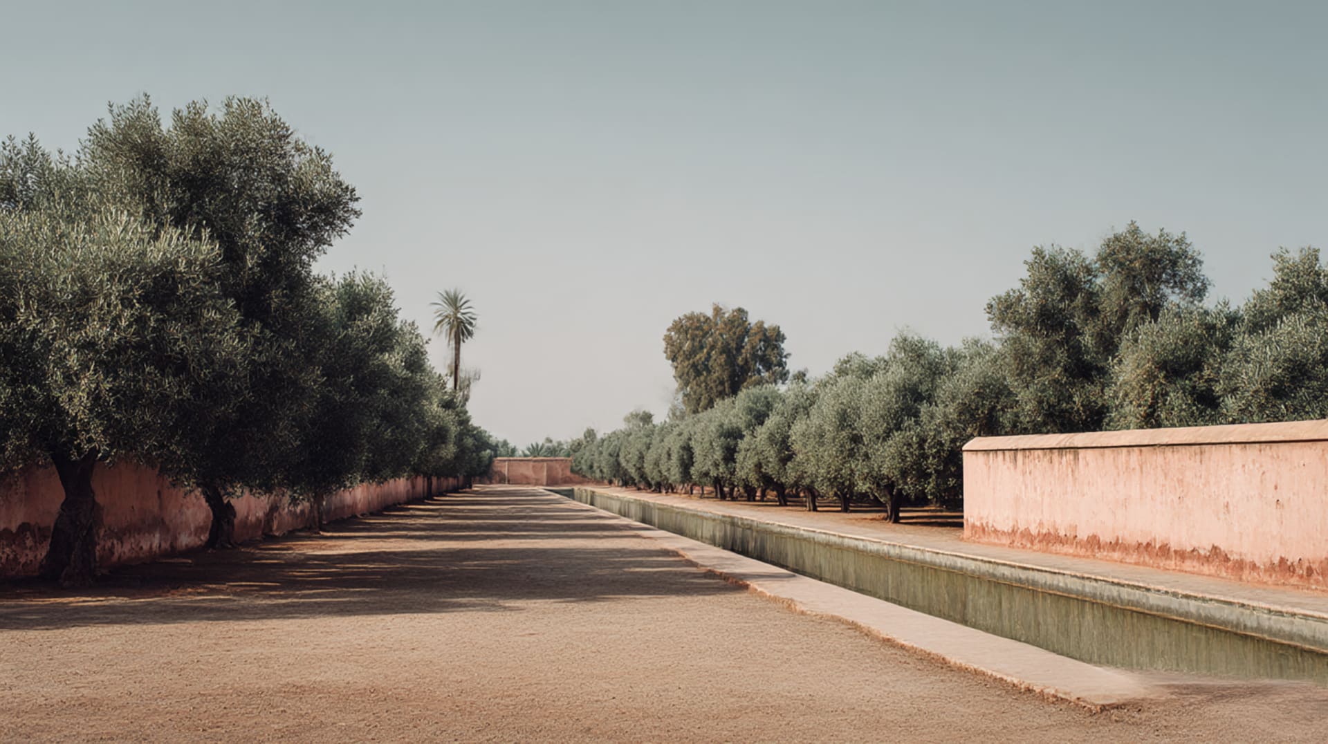 The Orchard Behind the Palace