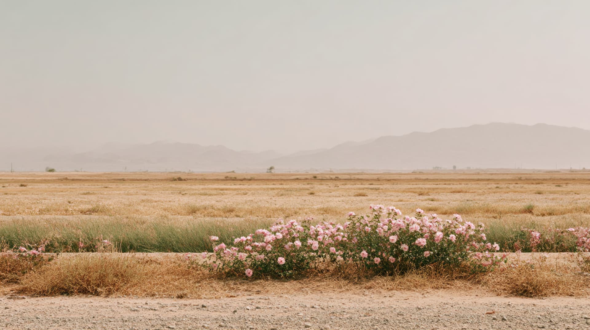 The Valley That Smells Like May