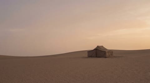 The Night in the Dunes