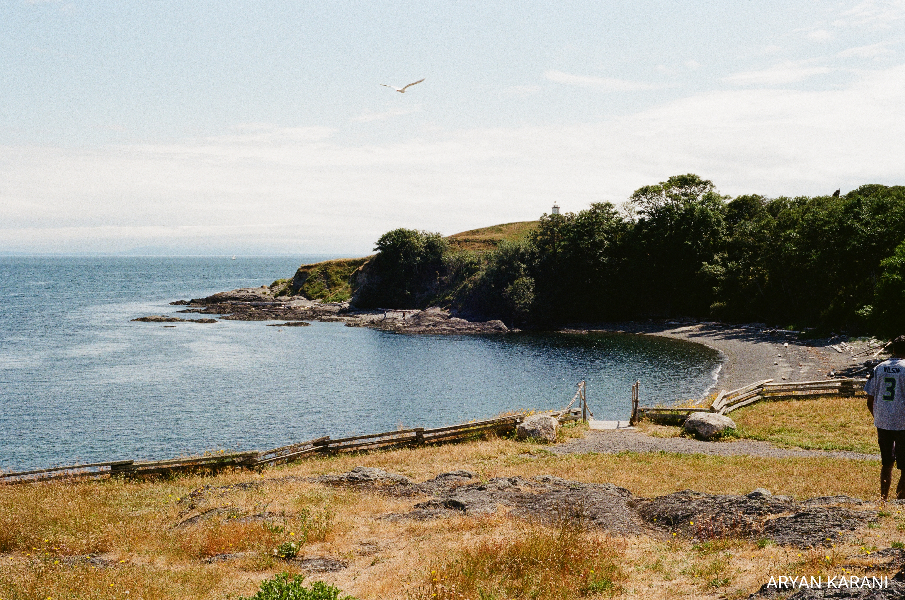 Senior Trip Memories - Cool Bird up there too