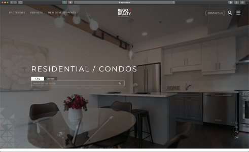 website-porfolio-item