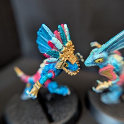 Skinks