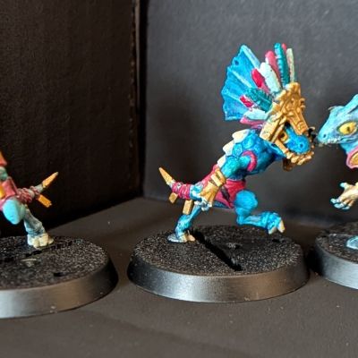 Skinks