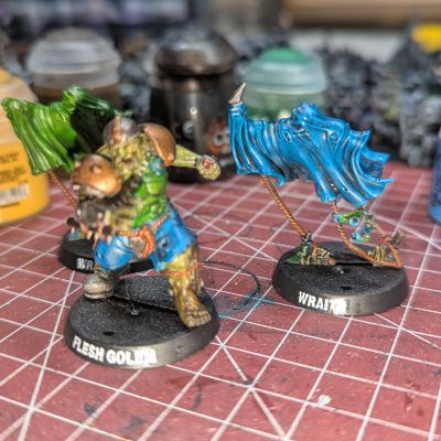 Flesh Golem and Wraithes