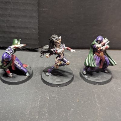 Witch Elf and Assassins